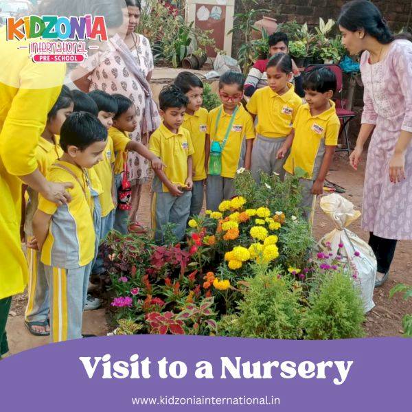 Plant Nursery 